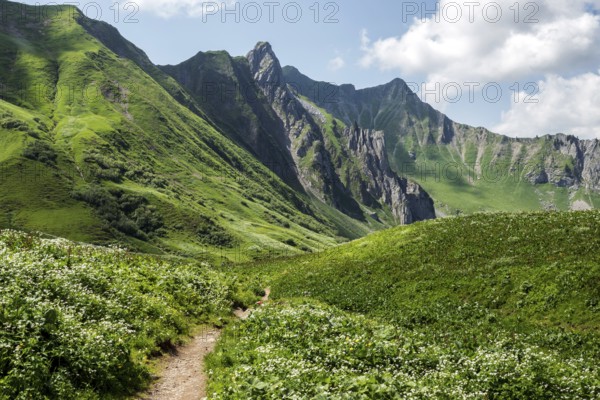 Hiking trail to the Hochalp Pass, Bärgunttal, behind Höferspitze, Weißer Schrofen and Heiterberg, near Baad, Kleinwalsertal, Allgäu Alps, Vorarlberg, Austria