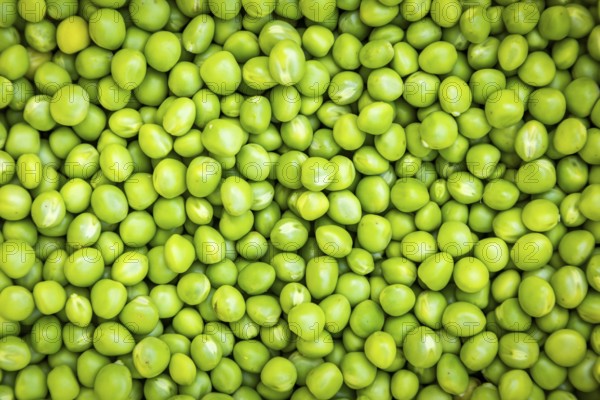 Close-up of fresh green peas (Pisum sativum) lying close together