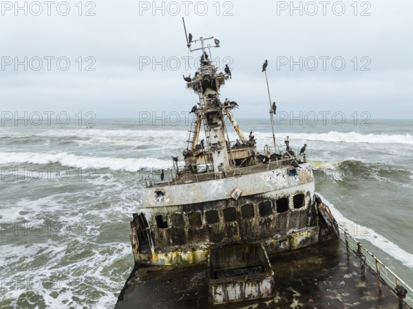 White-breasted Cormorant (Phalacrocorax lucidos). Nesting on the Zeila shipwreck at the Skeleton Coast. Aerial view. Drone shot. Dorob National Park, Namibia