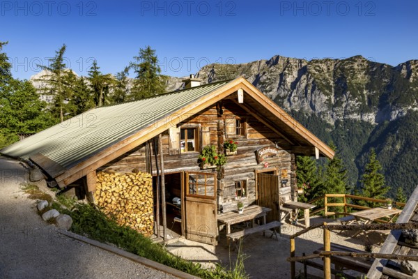 Schärtenalm, behind the Reiteralpe, Berchtesgaden National Park, Ramsau, Berchtesgadener Land, Upper Bavaria, Bavaria, Germany