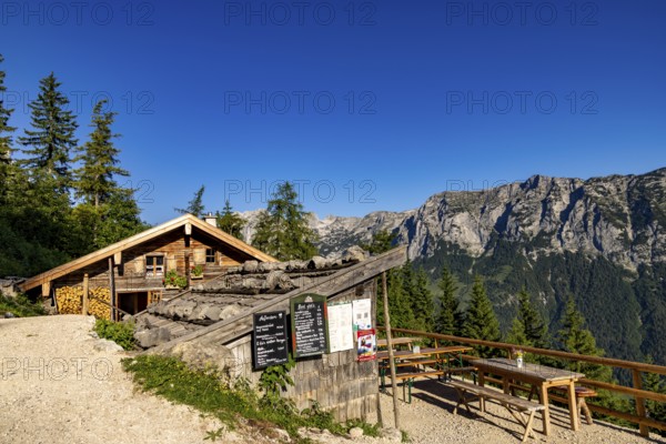 Schärtenalm, behind the Reiteralpe, Berchtesgaden National Park, Ramsau, Berchtesgadener Land, Upper Bavaria, Bavaria, Germany
