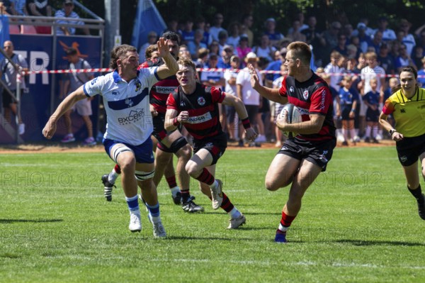 Rugby Bundesliga, 2024/25 season, final for the German championship: SC Frankfurt 1880 v TSV Handschuhsheim