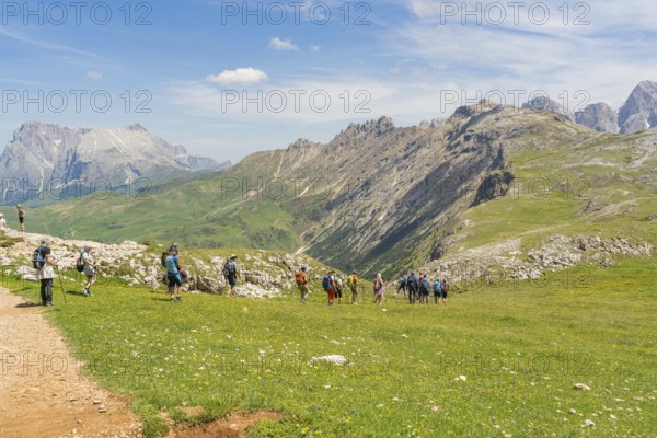 Group of hikers exploring a path through a wide green landscape, Schlehrn hike, Alpe di Siusi, Dolomites, South Tyrol, Italy