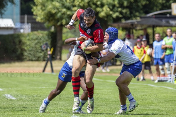 Rugby Bundesliga, 2024/25 season, final for the German championship: SC Frankfurt 1880 v TSV Handschuhsheim