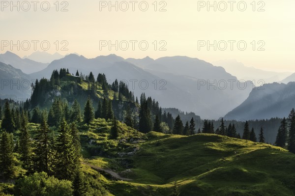 View from the Pragel Pass over the Muota Valley in the evening light, Central Swiss Alps, Canton Schwyz, Switzerland