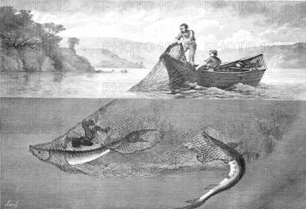 Fisherman catching sturgeon, Acipenser oxyrinchus, with a net, Historical, Reproduction from a model with a scene from the 19th century