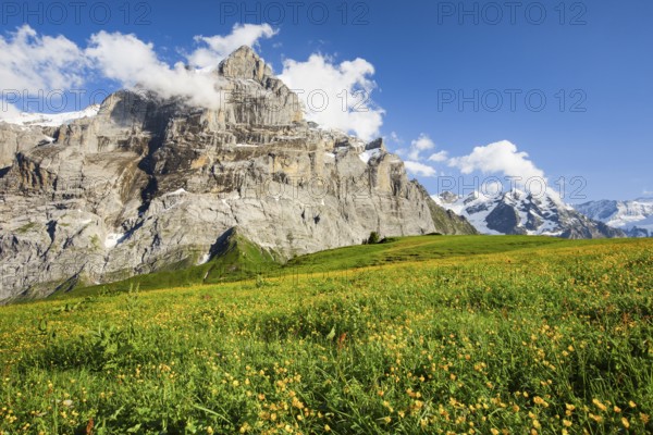 Wetterhorn, Bernese Oberland, Switzerland