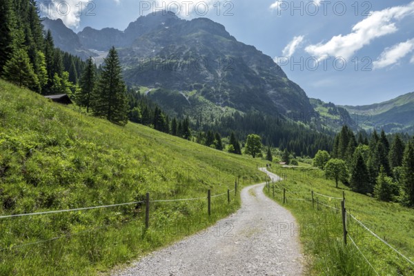 Hiking trail in Bärgunttal, behind Großer Widderstein, near Baad, Kleinwalsertal, Vorarlberg, Austria