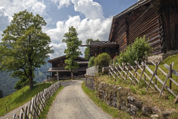 Old farmhouses in the historic mountain farming village of Gerstruben, Dietersbachtal, near Oberstdorf, Allgäu Alps, Oberallgäu, Allgäu, Bavaria, Germany