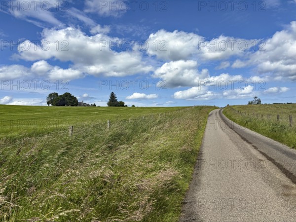 Rural road stretches through green fields flanked by tall grass under a cloudy sky, Aberdeenshire, Keith, Scotland, United Kingdom