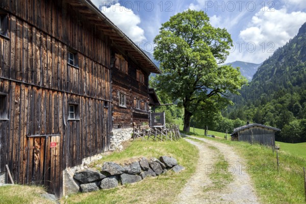 Old farmhouses in the historic mountain farming village of Gerstruben, Dietersbachtal, near Oberstdorf, Allgäu Alps, Oberallgäu, Allgäu, Bavaria, Germany