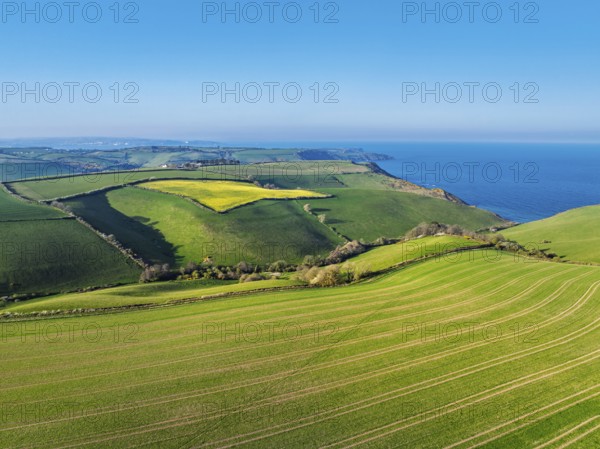Farms and Fields over Brixham and Kingswear from a drone, Devon, England, United Kingdom