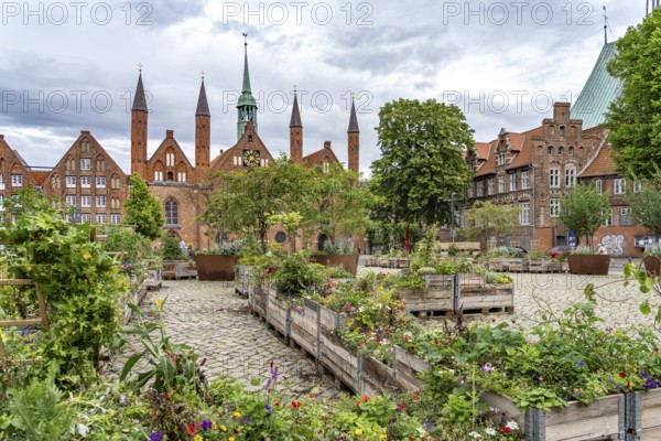 Flower boxes at Geibelplatz and Heiligen-Geist-Hospital in the Hanseatic city of Lübeck, Schleswig-Holstein, Germany