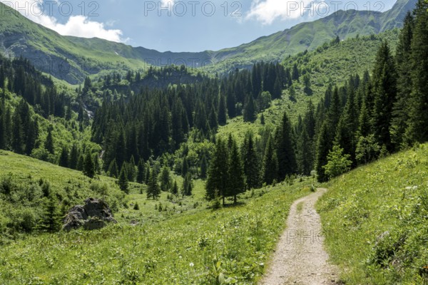 Hiking trail to the Hochalp Pass, Bärgunttal, near Baad, Kleinwalsertal, Allgäu Alps, Vorarlberg, Austria