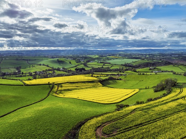 Rapeseed fields and Farms over Devon Windmill from a drone, Torquay, Devon, England, United Kingdom