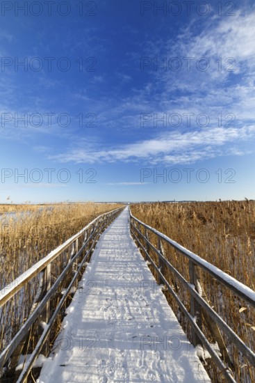 jetty to a boathouse at the federsee in Germany