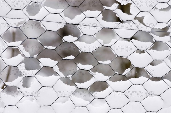 Fence with snow, North Rhine-Westphalia, Germany, wire fence, wire mesh fence