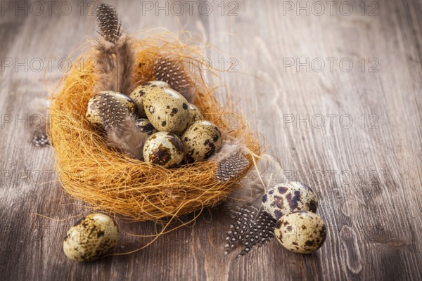 Easter eggs with nest on wooden background in vintage style
