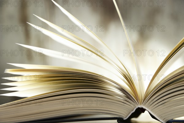 Composition with hardcover book on the table