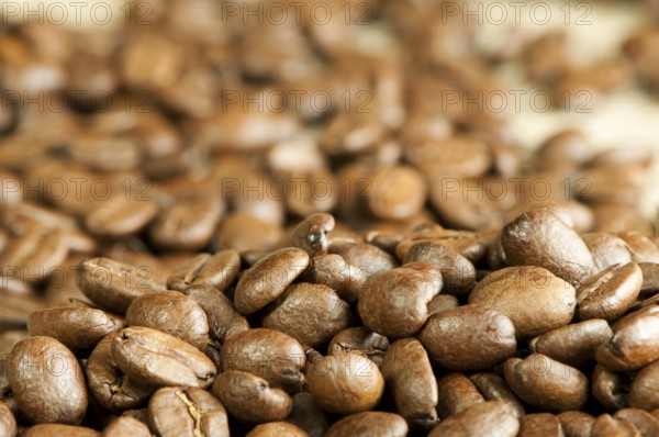 Coffee beans background