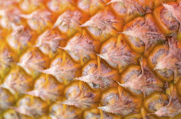 Detail rape pineapple close-up, for backgrounds or textures. shallow depth of field