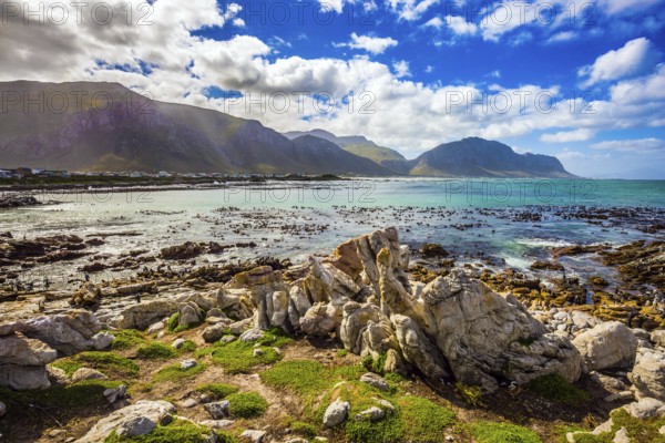 The azure water, boulders and algae of the Atlantic. Surroundings of Cape Town. Boulders Penguin Colony National Park, South Africa. The concept of ecotourism