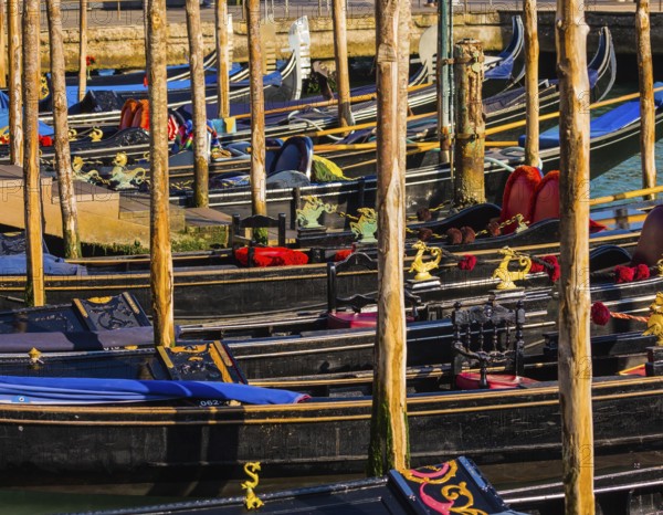 Magical journey to Venice. Gorgeous varnished gondolas offer a getaway on the Grande Canal. Bright sunny morning in Venice. The concept of active, cultural and photo tourism