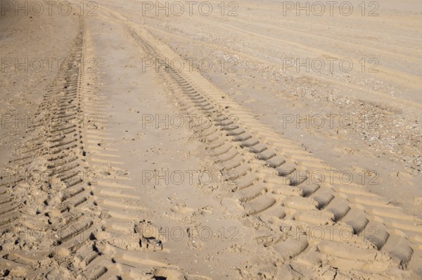 Parallel tire tracks crossing a sandy beach on a sunny day