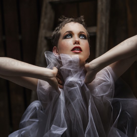 Female nude with tutu in front of a wooden ladder