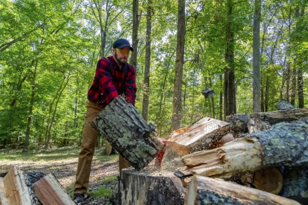 A robust young man wields an axe, skillfully cutting wood on his property. He clears the land while preparing a vital winter supply, turning effort into warmth for the cold months ahead, Kannapolis, United States of America