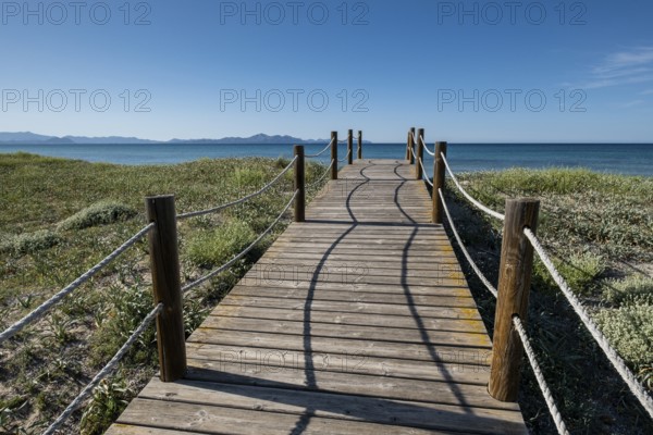 Wooden path to protect the dunes, Arenal de sa Canova, Artà - Santa Margalida, Natural Area of Special Interest, Majorca, Balearic Islands, Spain