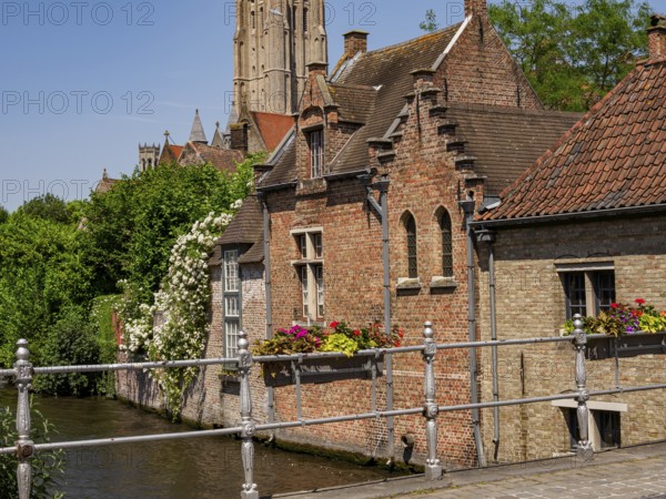 Building on a canal with a bridge and lush flowers and vegetation in the foreground, Bruges, Flanders, Belgium