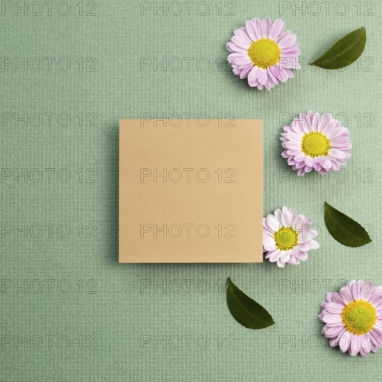 Blank memo pad with pink small flowered chrysanthemum on green background. flat lay, top view, copy space