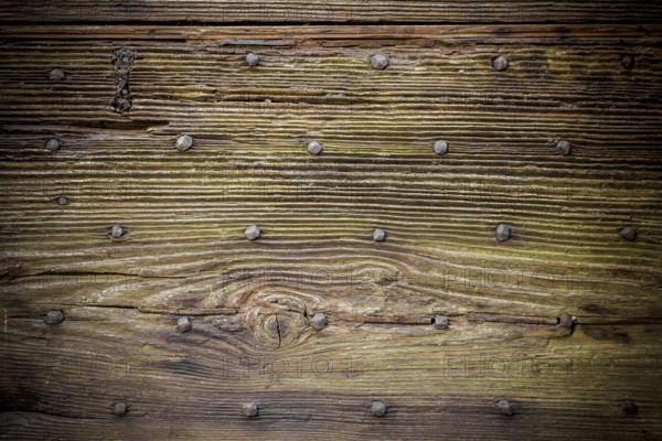 Old wooden boards, with moss and rusty nails