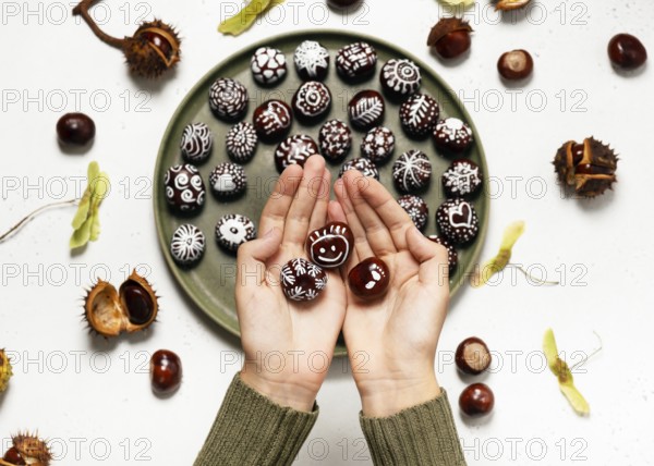 Two hands hold beautiful hand-painted chestnuts with different motifs over a plate full of autumn decorations in a rustic atmosphere. Creative handicraft for children