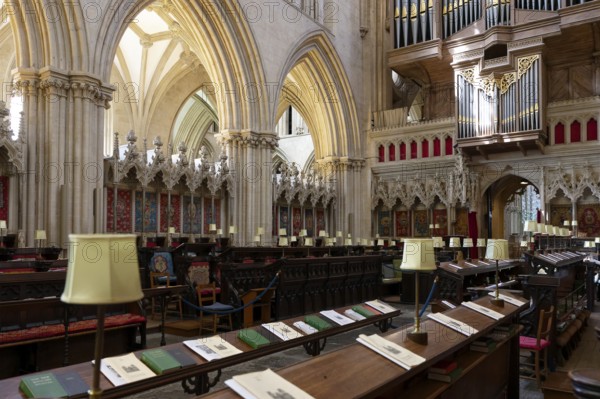 Interior view, choir stalls, Wells Cathedral, Wells, England, Great Britain