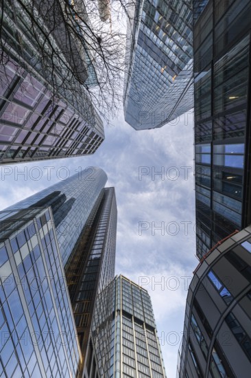 Look up in the morning in the middle of the skyline. Tower blocks and modern glass fronts at sunrise. Nice overview of the skyscrapers and their surroundings. Frankfurt am Main, Hesse, Germany