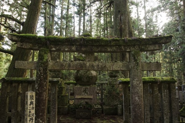 Okunoin cemetery at Mount Koya and Koya-san in Wakayama, Japan. World Heritage Site, Koya-san, Japan