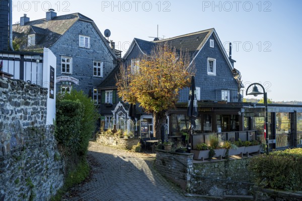 Picturesque half-timbered houses with autumn trees along a cobbled street, Burg Castle in the Bergisches Land region