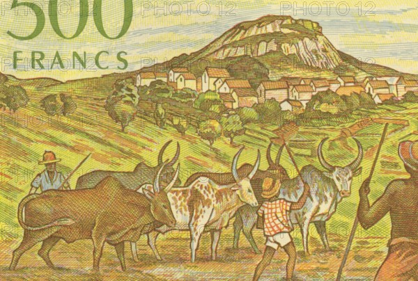 Herdsmen with Zerbus on 500 Francs 1995 Banknote from Madagascar