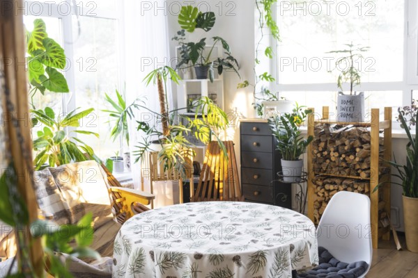Empty round table for installation and demonstration of product in interior with Tropical indoor plants in country green house, Houseplant Growing and caring for potted plant, greenhome in cottage