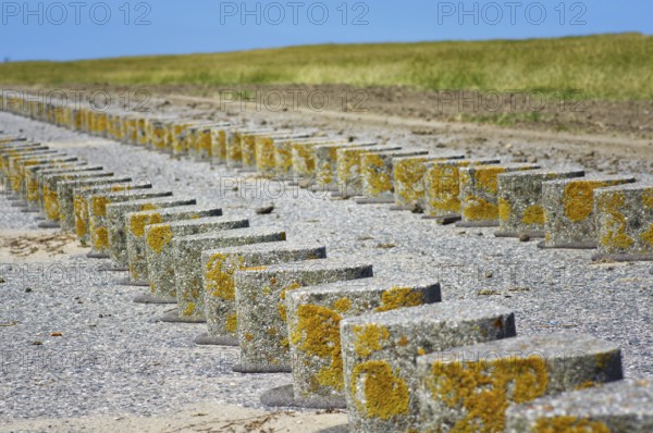 North Sea coast at Pilsum lighthouse