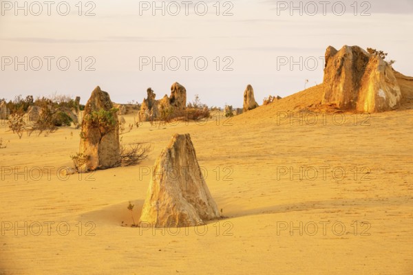 An image of the beautiful Pinnacles Desert in western Australia