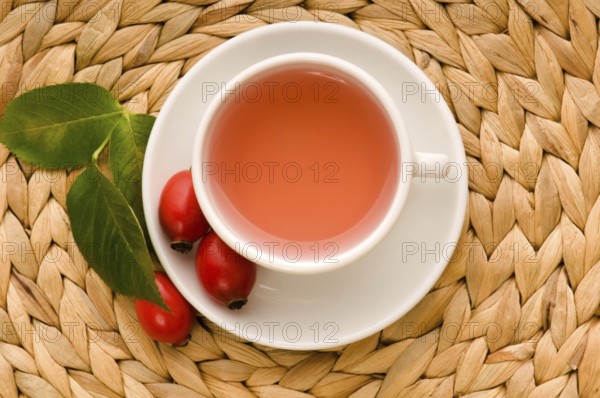 Rose hip tea, lodz