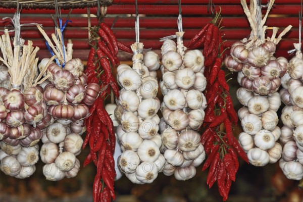 Bundles of garlic and bundles of cayenne pepper hanging on wicker fence of the southern market