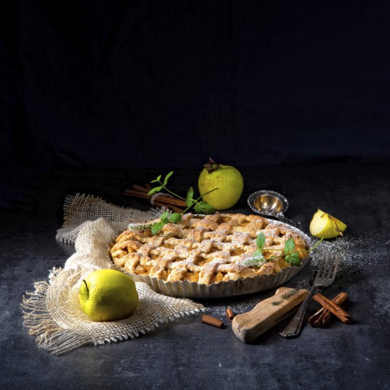 Tasty Apple pie with lattice upper crust