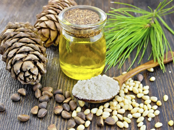 Cedar Flour in a wooden spoon, cedar nuts and two cones, cedar oil in a glass jar, a cedar branch against the backdrop of wooden planks