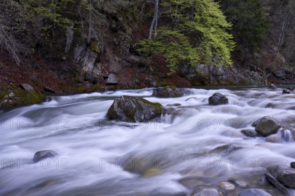 Lieser river in spring, Carinthia, Austria