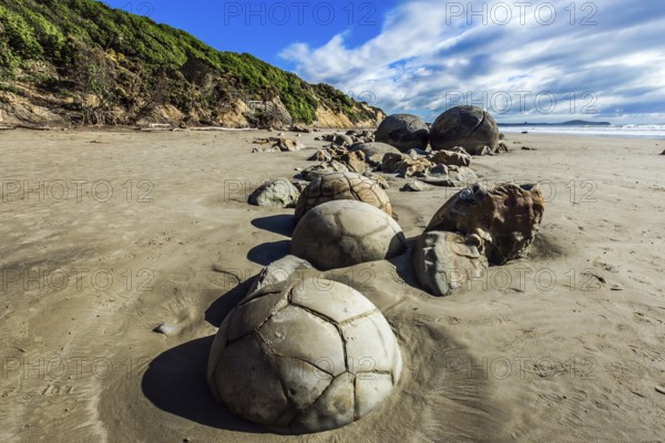 Series of mysterious round boulders Moeraki and their shattered remnants on a sandy beach. New Zealand. Low tide in the Pacific. Popular tourist attraction.The concept of exotic and ecological tourism