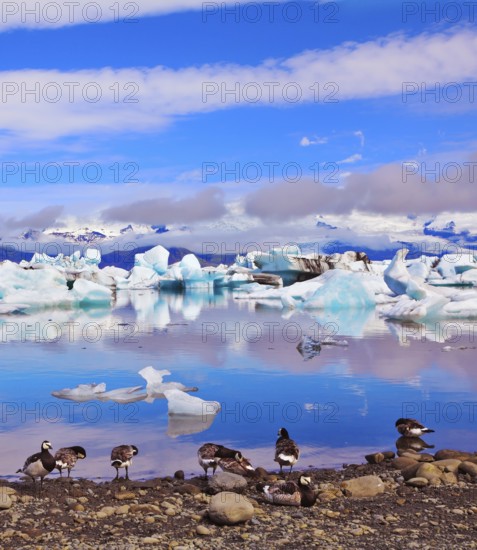Jökulsárlón Glacial Lagoon in Iceland. Clouds, ice floes floating in the ocean, and polar birds recorded in the ocean lagoon